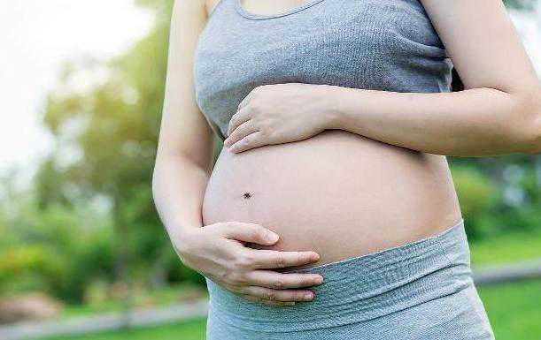 是否会在没有优势卵泡的情况下怀孕？