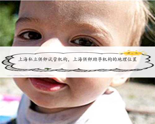 上海私立供卵试管机构，上海供卵助孕机构的地理位置