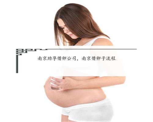 南京助孕借卵公司，南京借卵子流程