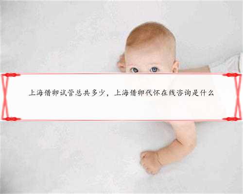 上海借卵试管总共多少，上海借卵代怀在线咨询是什么