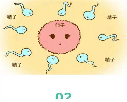 试管婴儿前通过哪些指标可以看卵泡和卵子的质