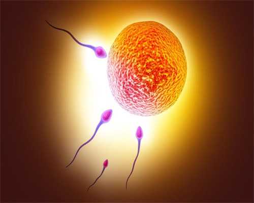 精子和卵子在结合后，女人身体会有反应吗？代