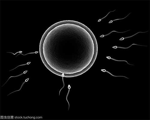 试管受精后受精异常受哪些因素影响