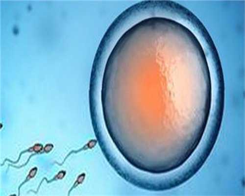 女性代孕重点：呵护卵子促进受孕，怀孕更轻松