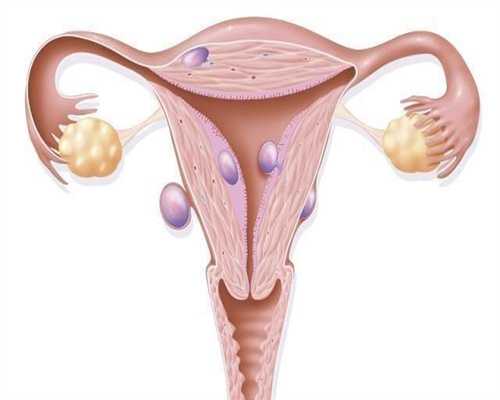 滔滔顾问女性想预防卵巢早衰，记得多吃这些食
