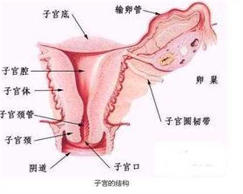 上海一妇婴李昆明医生浅谈腹腔镜手术下卵巢功