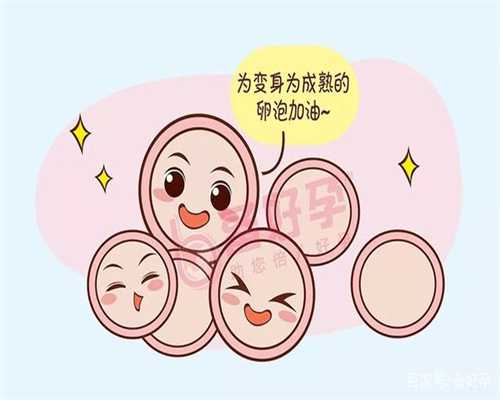 深圳招聘捐卵_预防卵巢早衰，这些食物不能错过