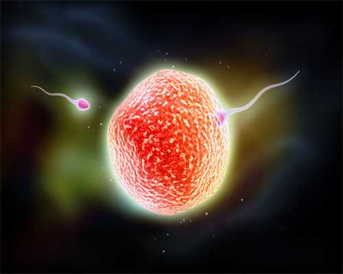 宜宾捐卵_为什么多囊卵巢怀孕艰难？