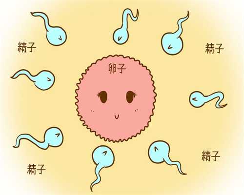 黑龙江女性捐卵,女人不孕首先检查卵巢囊肿
