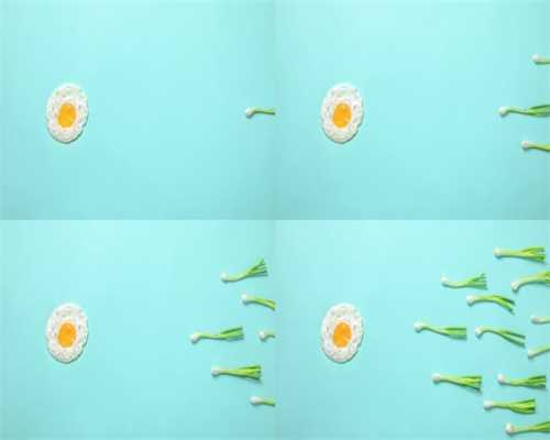 黑龙江模特捐卵,卵泡长不大是怎么回事，导致卵