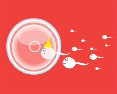 澳洲需要捐卵，如何预防卵巢囊肿导致不孕？
