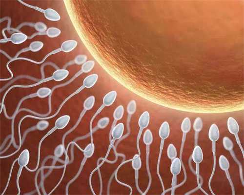 印度捐卵代价，如何正确地护理卵巢，避免卵巢