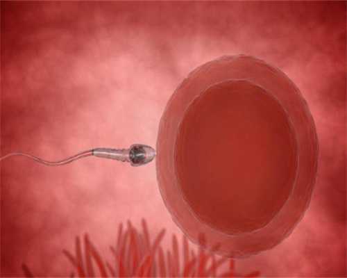 四川捐卵代孕,女性不孕卵巢功能检查的4个方向