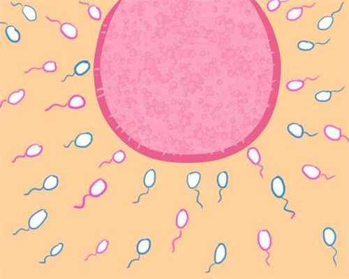 河北捐卵咨询,如何预防卵巢早衰？这2种汤要常喝