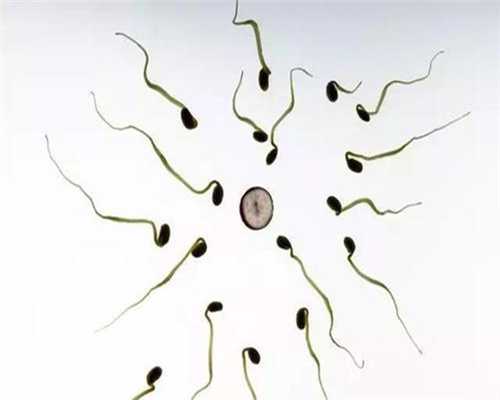 河北捐卵咨询,如何预防卵巢早衰？这2种汤要常喝