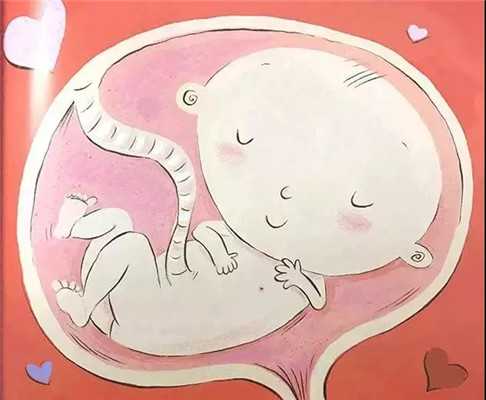 扬州圆梦捐卵网，试管代孕婴儿对卵巢的伤害