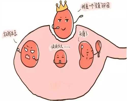 华裔中国捐卵公司，多囊卵巢注意食物