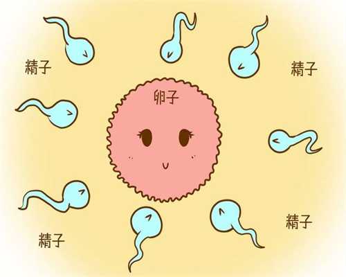 上海义务捐卵，卵巢位置高怎么怀孕
