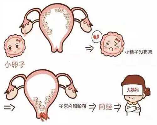 云南合法捐卵,卵巢囊肿可以用什么方法鉴别