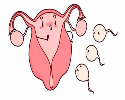 美国黑市捐卵-供卵试管助孕机构卵巢早衰能做供卵试管吗国外第三代试管婴儿