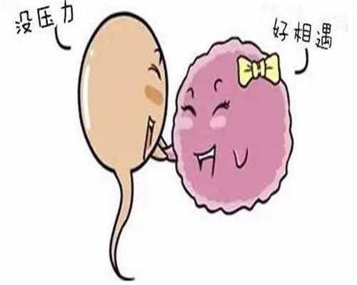 丰台中国捐卵女孩,广州供卵试管试管注意事项之囊胚移植后自我管理
