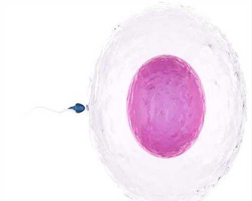赴美有捐卵-输卵管不通，腹腔镜vs试管婴儿