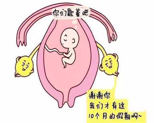 宁波捐卵高价_做试管婴儿先养卵，这几个方法做到就好孕