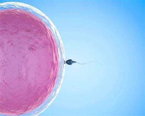 洛阳代妈捐卵~哪些原因造成胚胎质量差