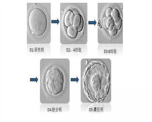 成都中国捐卵医院_台湾冻卵真的是自己唯一的选择了吗？