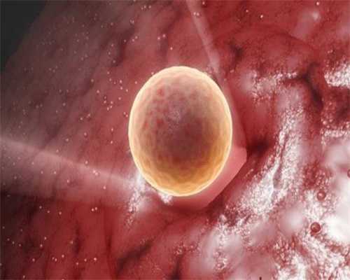成都求捐卵者，卵母细胞线粒体对于辅助生殖助孕技术的胚胎发育影响_1