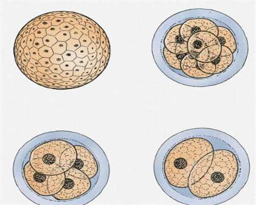 大理捐卵怎样捐,卵巢早衰的表现通过广州宝宝爱试管供卵自怀服务_1