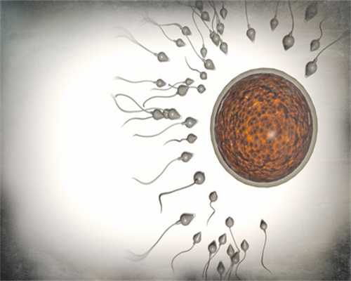 长春找捐卵-卵泡的生长情况影响试管婴儿成功率_1