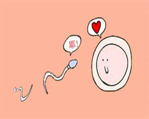 新疆正规捐卵费用，卵泡大小和美国试管婴儿结局有关吗？