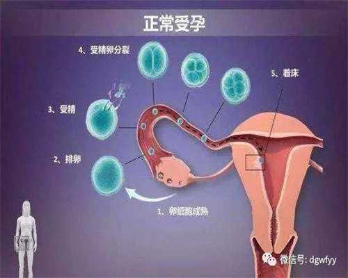 南阳急招捐卵_想要二胎除了广州代孕和广州供卵还有4个技巧让你更快怀孕_1