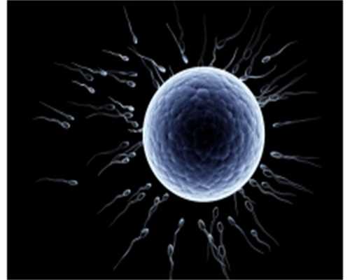 荷兰圆梦捐卵网~卵巢早衰试管多长时间卵巢早衰能做几次试管