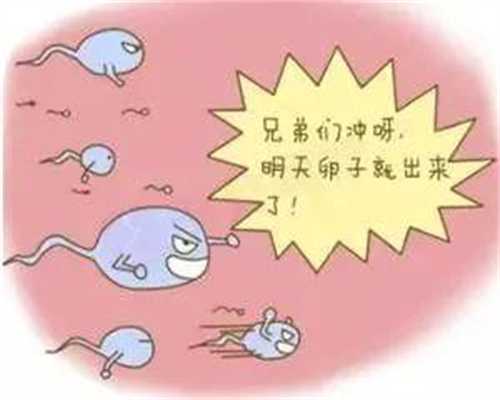 安全华人捐卵网-试管婴儿之取卵后注意事项_1