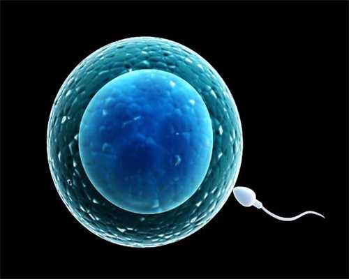 东北捐卵群-美国试管婴儿技术中遇到空卵泡怎么办？